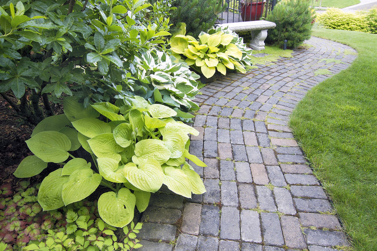 Garden Paver Path with Plants and Grass