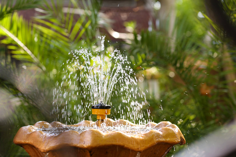 Fountain in garden