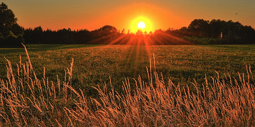 sun prairie wisconsin thumbnail-min