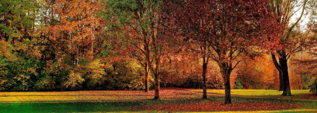 homes for sale in fitchburg wi