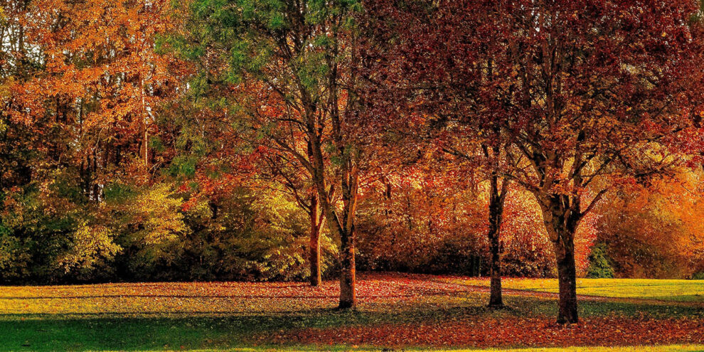 homes for sale in fitchburg wi